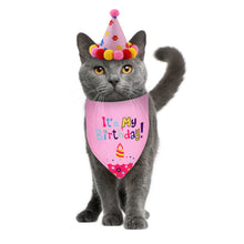Load image into Gallery viewer, Dog and Cat Birthday Hat and Bandana Set