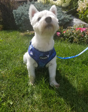 Load image into Gallery viewer, 6 Piece Matching Harness Set - Blue with White Star Print