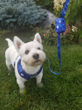 Load image into Gallery viewer, 6 Piece Matching Harness Set - Blue with White Star Print