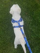Load image into Gallery viewer, 6 Piece Matching Harness Set - Blue with White Star Print