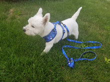 Load image into Gallery viewer, 6 Piece Matching Harness Set - Blue with White Star Print