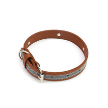 Load image into Gallery viewer, 2 cm Synthetic Leather Adjustable Dog Collar
