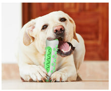 Load image into Gallery viewer, Dog Molar Toothbrush Chew Toy
