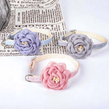 Load image into Gallery viewer, 1 cm Camellia Flower Adjustable Cat Collar
