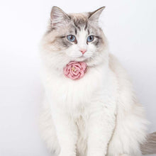 Load image into Gallery viewer, 1 cm Camellia Flower Adjustable Cat Collar
