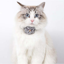 Load image into Gallery viewer, 1 cm Camellia Flower Adjustable Cat Collar
