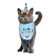 Load image into Gallery viewer, Dog and Cat Birthday Hat and Bandana Set
